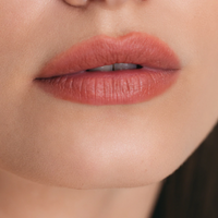 IN 唇膏 Lipstick 4g